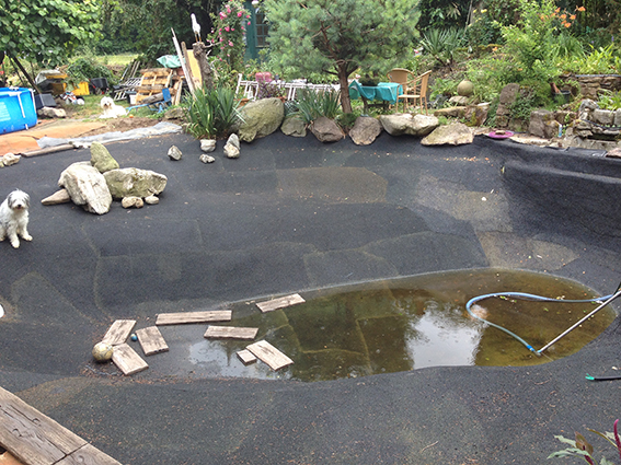 Pool_schwarz_fertig_klein.jpg