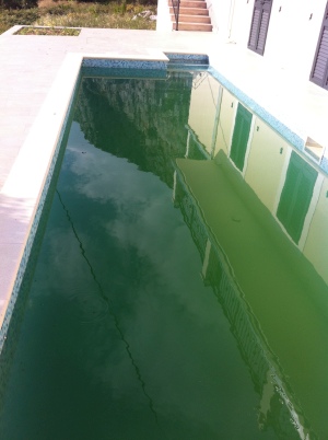 2014_07_003.jpg