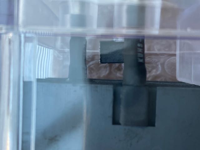 IMG_6340.jpeg