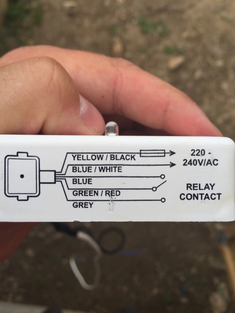 image.jpg