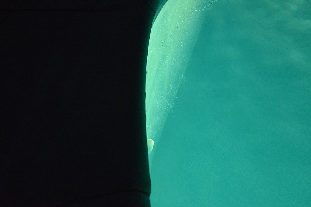 comp_DSC_6312.jpg